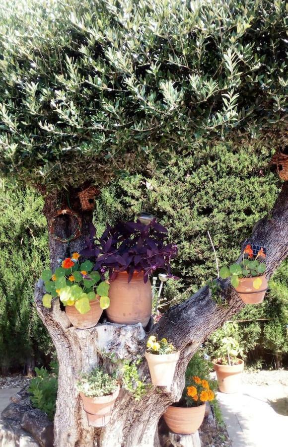 Appartamento Bay Leaves Jaén Esterno foto